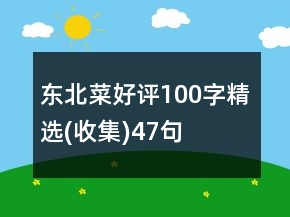 東北菜好評100字精選(收集)47句