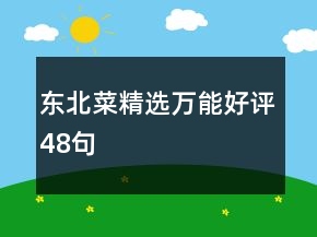 東北菜精選萬能好評(píng)48句