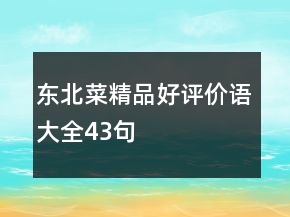 東北菜精品好評價(jià)語大全43句