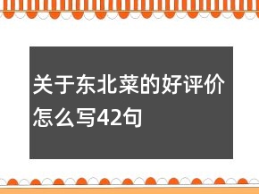 關(guān)于東北菜的好評價(jià)怎么寫42句