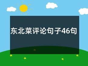 東北菜評論句子46句