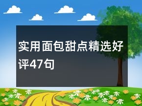 實(shí)用面包甜點(diǎn)精選好評(píng)47句