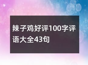 辣子雞好評100字評語大全43句