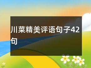 川菜精美評(píng)語(yǔ)句子42句