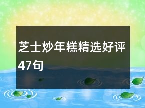 芝士炒年糕精選好評47句