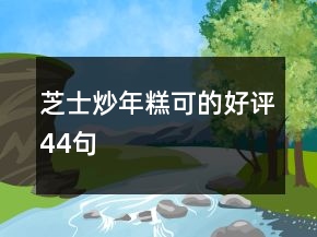 芝士炒年糕可的好評44句