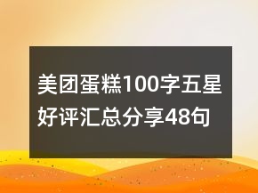 美團蛋糕100字五星好評匯總分享48句