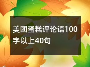 美團蛋糕評論語100字以上40句