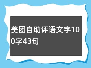 美團(tuán)自助評(píng)語文字100字43句