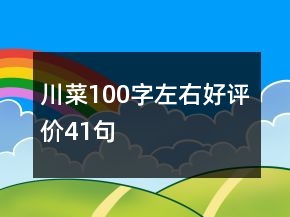 川菜100字左右好評價41句