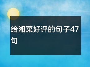 給湘菜好評的句子47句