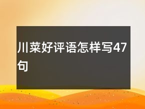 川菜好評語怎樣寫47句