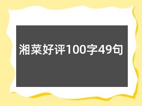 湘菜好評100字49句