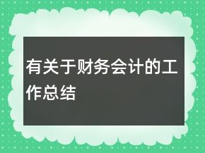 有關(guān)于財(cái)務(wù)會(huì)計(jì)的工作總結(jié)