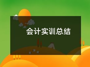 會計實訓(xùn)總結(jié)