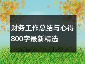 財務(wù)工作總結(jié)與心得800字最新精選