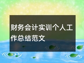 財務會計實訓個人工作總結(jié)范文