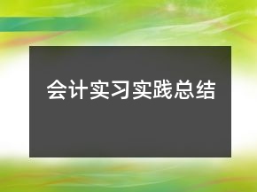 會計(jì)實(shí)習(xí)實(shí)踐總結(jié)