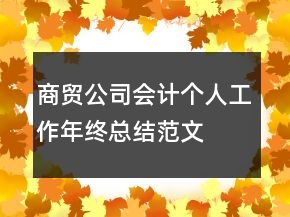 商貿(mào)公司會計個人工作年終總結(jié)范文