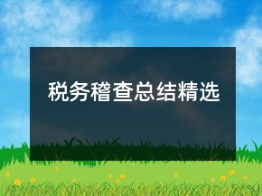 稅務(wù)稽查總結(jié)精選