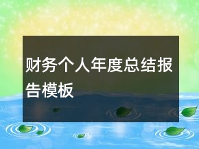 財務個人年度總結報告模板