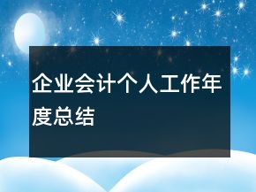 企業(yè)會計個人工作年度總結