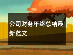 公司財務年終總結最新范文
