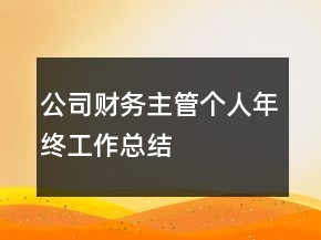 公司財務主管個人年終工作總結