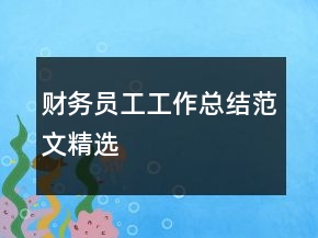 財務(wù)員工工作總結(jié)范文精選