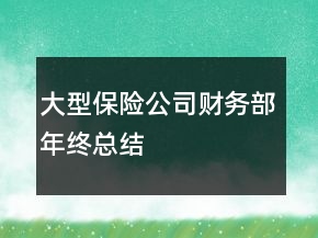 大型保險公司財務部年終總結(jié)