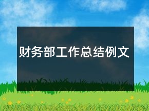 財務(wù)部工作總結(jié)例文