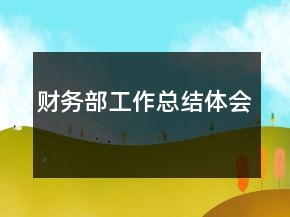 財務(wù)部工作總結(jié)體會