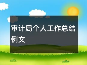 審計(jì)局個(gè)人工作總結(jié)例文