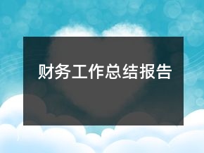財務(wù)工作總結(jié)報告