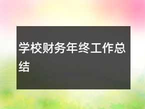 學(xué)校財(cái)務(wù)年終工作總結(jié)