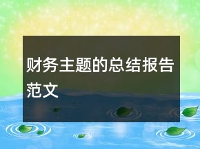 財務主題的總結報告范文