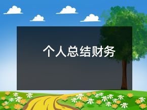 個人總結(jié)財務(wù)