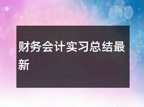 財務(wù)會計實習(xí)總結(jié)最新