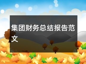 集團財務總結報告范文