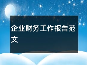 企業(yè)財(cái)務(wù)工作報(bào)告范文
