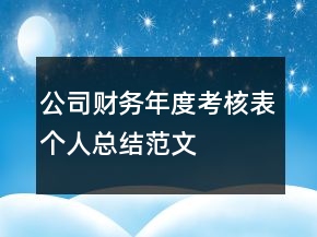 公司財務(wù)年度考核表個人總結(jié)范文