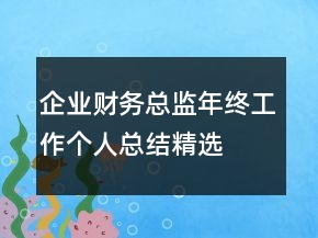 企業(yè)財務(wù)總監(jiān)年終工作個人總結(jié)精選