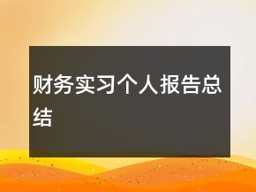 財務實習個人報告總結