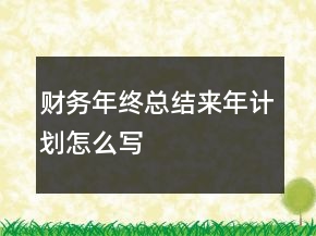 財(cái)務(wù)年終總結(jié)來(lái)年計(jì)劃怎么寫