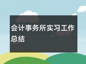 會計事務所實習工作總結