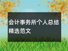 會計事務所個人總結精選范文