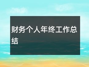 財(cái)務(wù)個(gè)人年終工作總結(jié)