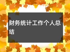 財(cái)務(wù)統(tǒng)計(jì)工作個(gè)人總結(jié)
