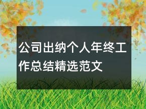 公司出納個人年終工作總結(jié)精選范文