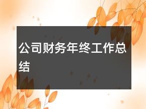 公司財(cái)務(wù)年終工作總結(jié)